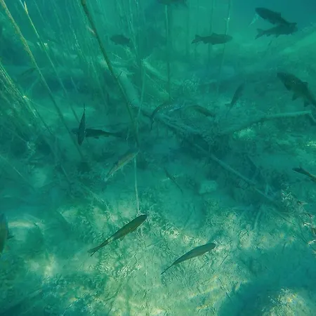 אתר קמפינג 3 Bedroom Stacaravan In 3*