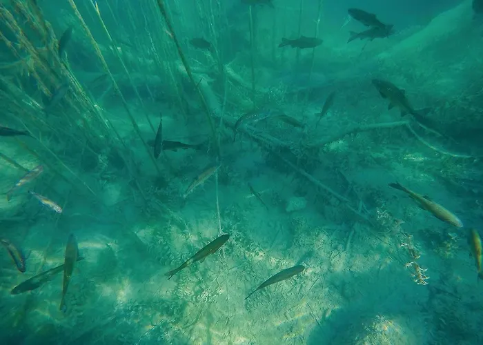 אתר קמפינג 3 Bedroom Stacaravan In 3*